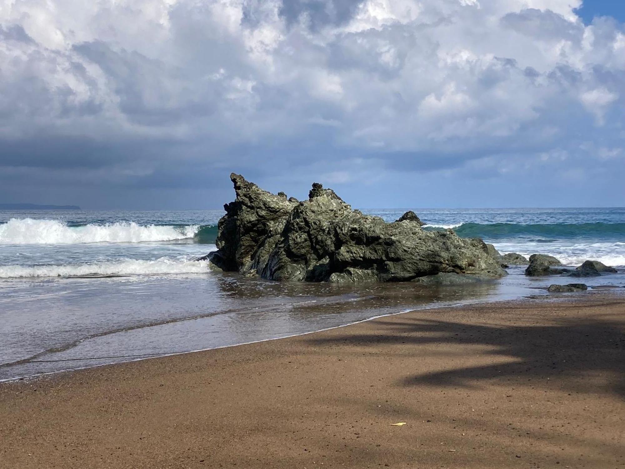 Corcovado & Drake Inn Drakes Bay Dış mekan fotoğraf
